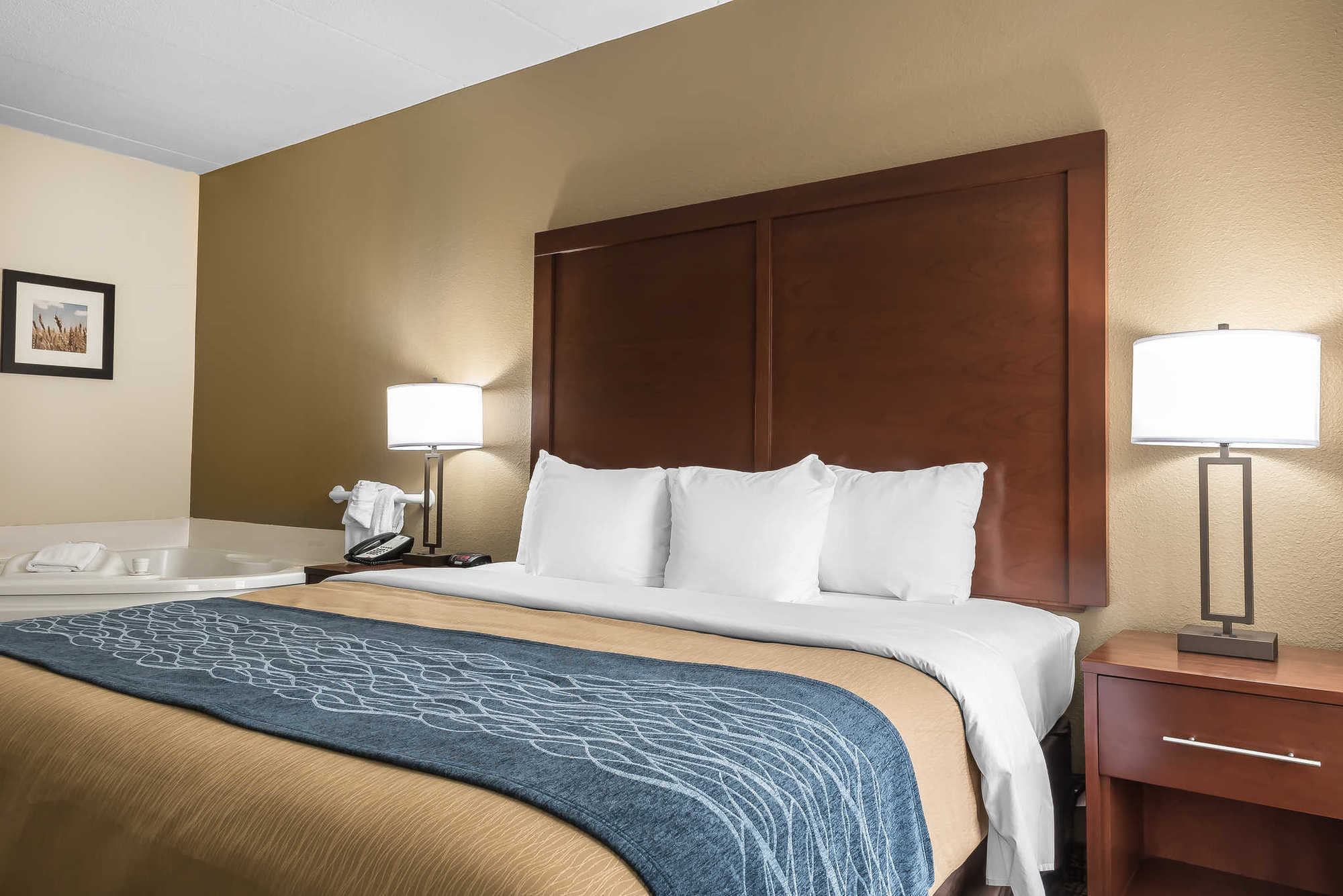 Comfort Inn Indianapolis North - Carmel Room photo